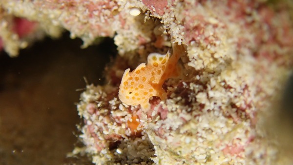 PB080038