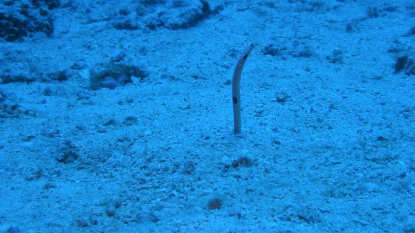P7110001