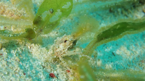 PB080044