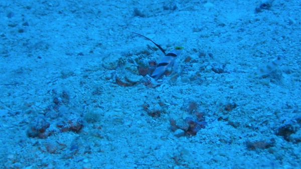 P7110003