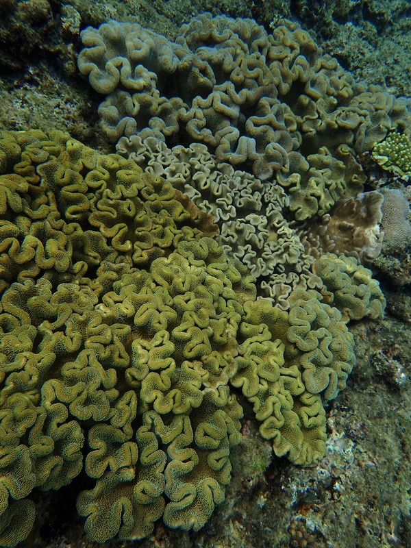 P7170011