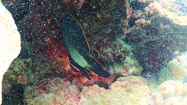 P7120085