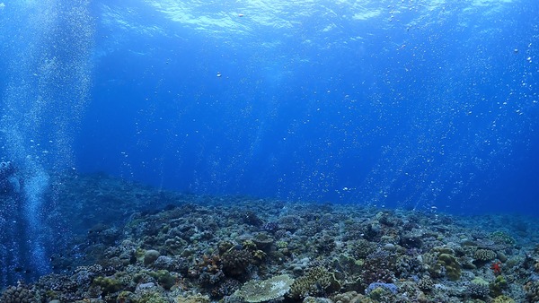 PB080004