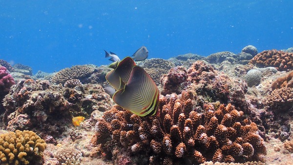 P7080081