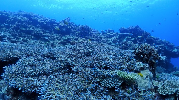 P8130024