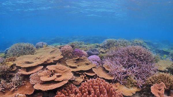 P5010121