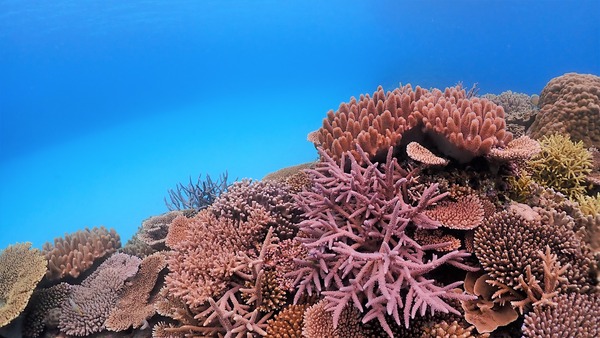P5010097