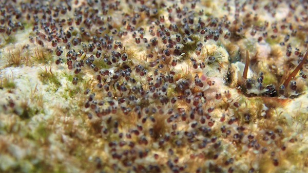 P7110040