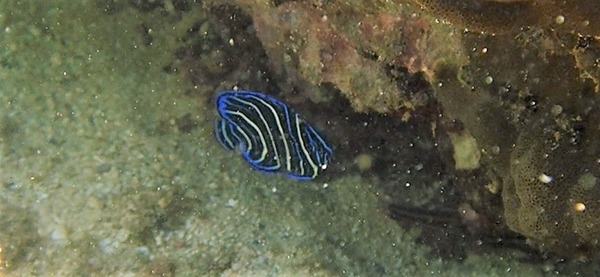 IMG_4248