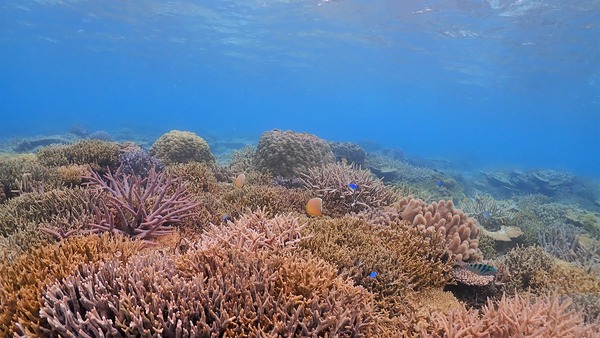 P5010127