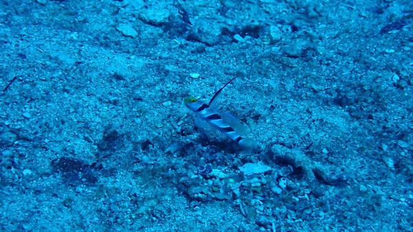 PB030056