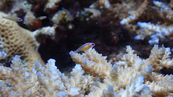 P7110028