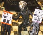 靴ひも