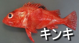 キンキ