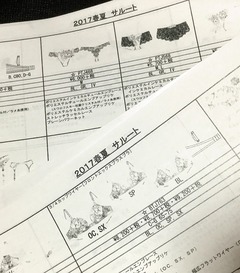 17サルート春夏 衣織の写メ日記保管庫とここだけの話