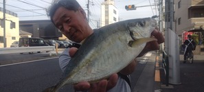 IMG_20240608_162013471