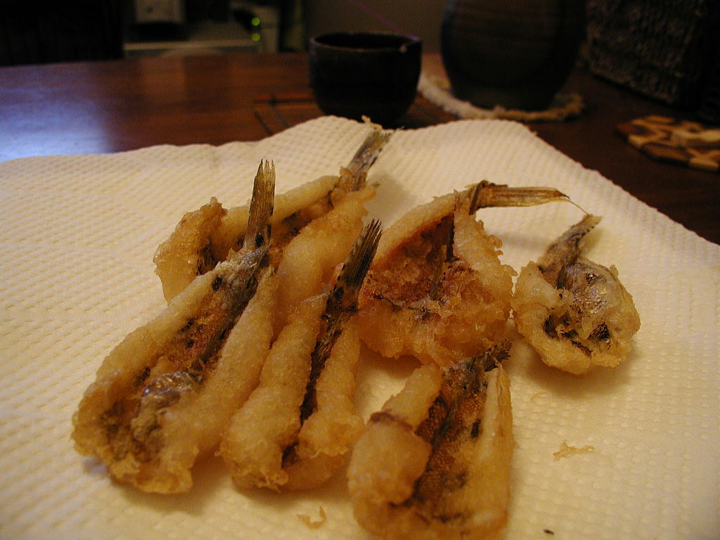 事務局です カワハギ釣りの外道なんでも食べます タキフィッシャーマンズクラブ Tfmc 釣行記