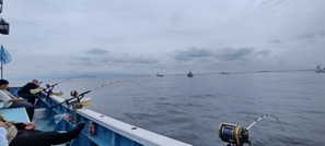 IMG_20240928_114800331_HDR
