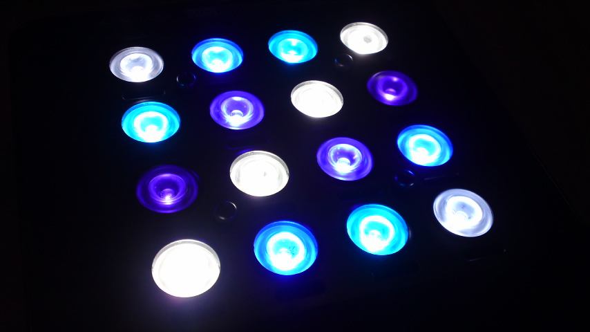 Maxspect Mazarraが来たよ。（1） : AQUA美忘録 MAXSPECT