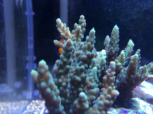 2016-05-18-23-39-37