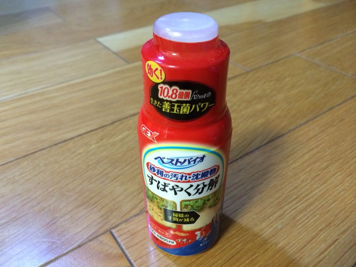 白いコケ カビ 対策 Aqua美忘録 白いコケ カビ 対策 Aqua美忘録