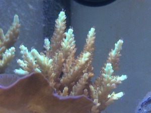2016-06-12-11-26-43
