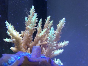2016-07-18-22-13-29