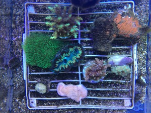 2016-07-16-15-16-46