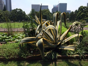 2014-07-31-12-38-19