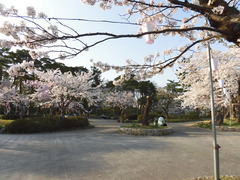 04034