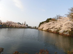 040311
