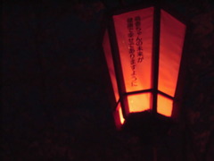 bon05
