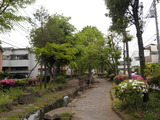 minuma08