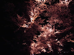 040325
