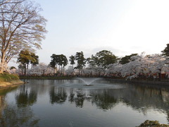 040312