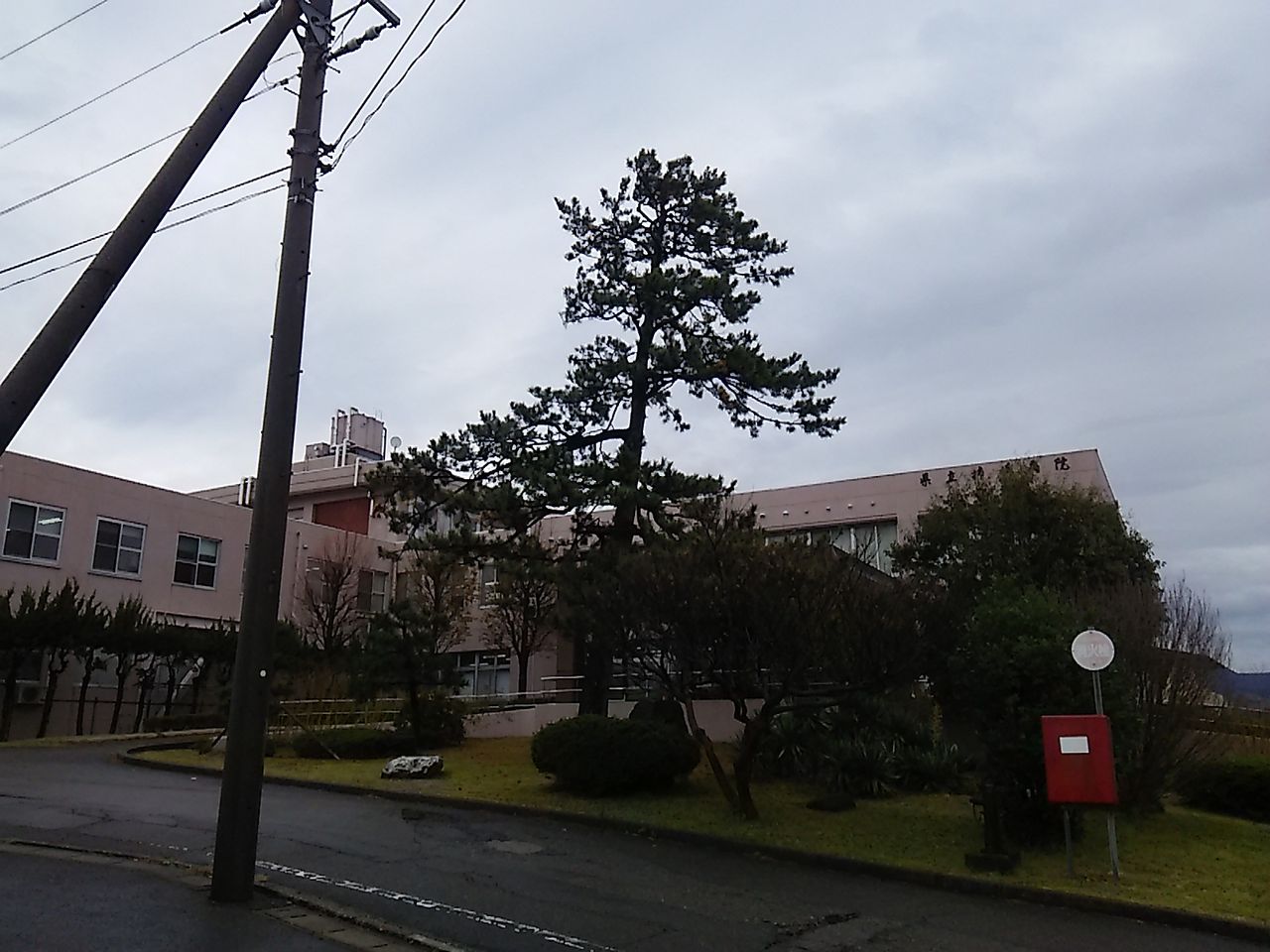 18年11月 Kobarinのダイアリーノート