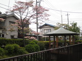 minuma11