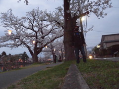 040317