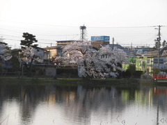 040313
