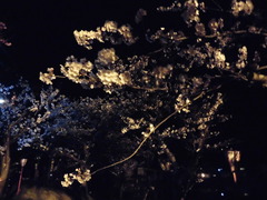 040330