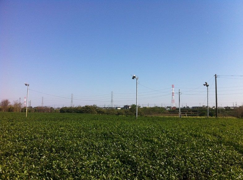 2015_07