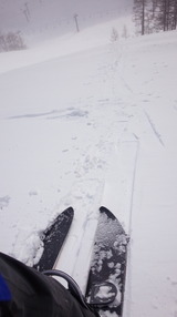 2015_03_10 oguna 03