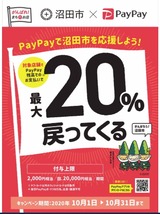 p20201001