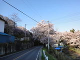 2010_04_25 terakubo 07
