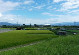 2018_08_25 naoetu 07