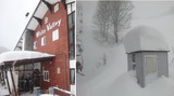 2011_12_27 white 02