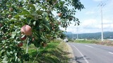 20200922103100_ps-