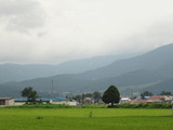 2013_08_24 naoetu 05