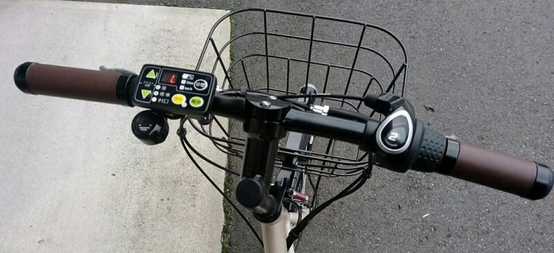 ブリジストン　リアルストリーム　ミニ　20 リアルストリーム ミニ 20型電動アシスト自転車 2021年モデル