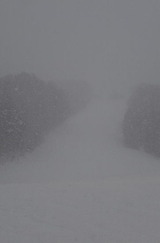 2013_02_24 okutone 04